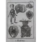 Benard, Robert, anatomy, gynecology, Geneva, 1779 — Denis Diderot's Encyclopedia