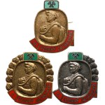 Czechoslovakia. - Honorary badge "Exemplary rescuer" I. class - Enamel and gilded, 32 x 35,5 mm on clasp + II. class - Enamel and silver-plated, 30 x 35 mm, on clasp + III. class - Enamel bronze, 30 x 35,5 mm, on clasp, min. Kremnica Mint, 3 pcs.