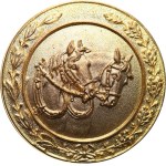 Austria-Hungary, FJI 1848-1916 - Badge for charioteers 1906 - Solid bronze, Marko-480a.