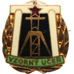 Badge of Honour Exemplary Apprentice, gilt bronze, 29 x 33 mm, enamelled, on clasp.