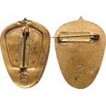 Honorary badge The Best Worker - Geological Services, gilt bronze, 25 x 35 mm, enamelled, min. MK, variants, 2 pcs.