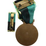 Honorary badge Meritorious Worker of the Czech Geological Institute (Czech Geological Institute), bronze, partly enamelled, on ribbon, on a clasp + miniature pin, miniature pin, min. MK.