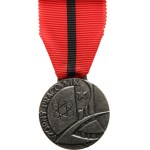 Department of Fuel and Energy of the Czechoslovak Socialist Republic, Exemplary Worker, silver-plated bronze, 36 mm, on ribbon, with clasp.