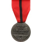 Department of Fuel and Energy of the Czechoslovak Socialist Republic, Exemplary Worker, silver-plated bronze, 36 mm, on ribbon, with clasp.
