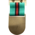 Brno. - Geotest ČGU (Czech Geological Institute), all-departmental exercise CO Brno 1989, bronze, 36 x 45 mm, on a ribbon, on a clasp.