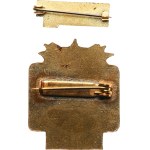 Jáchymov. - Exemplary worker of the Jáchymovské doly plant, gilt bronze 26 x 31,5 mm, enamelled on a clasp + miniature 21 x 7,5 mm on a clasp.