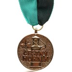 Ostrava VOKD. - Construction of the Ostrava-Karviná mines / Honorary miner, gilt bronze, 38 mm, on a ribbon with a hinge, on a clasp.