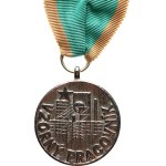 Ostrava VOKD. - Construction of the Ostrava-Karviná Mines / Exemplary Worker, silver-plated bronze, 39,5 mm, on a ribbon with a hinge, on a clasp.