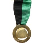 Ostrava. - Geological Survey, For meritorious work in the company, gilded bronze 32 mm, enamelled, on a ribbon, on a clasp.