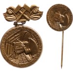 Tuchlovice. - Nosek Mine, Exemplary worker, bronze, 31 x 52 mm, on a hinge, on a clasp + miniature, bronze, 20 mm, on a needle.