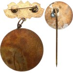 Tuchlovice. - Nosek Mine, Exemplary worker, bronze, 31 x 52 mm, on a hinge, on a clasp + miniature, bronze, 20 mm, on a needle.