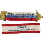 District exercise to celebrate 50 years of the Sokol gymnastic unity in Luži 10 June 1935 + Opava, Sokol county Moravian-Silesian, 2 pcs.