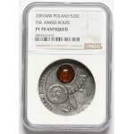 20 gold 2001 Amber Route