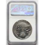 20 gold 2001 Amber Route