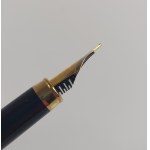 Fountain pen