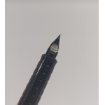Fountain pen