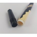 Fountain pen