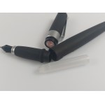 Roto fountain pen
