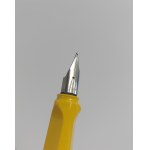 Lamy Safari Fountain Pen