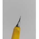 Lamy Safari Fountain Pen