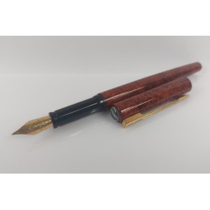 Waterman fountain pen