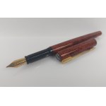 Waterman fountain pen