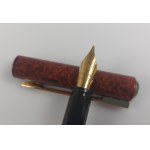 Waterman fountain pen
