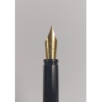 Waterman fountain pen
