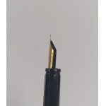 Waterman fountain pen