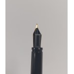 Waterman fountain pen