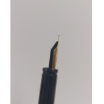 Waterman fountain pen