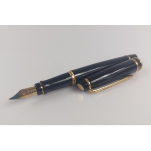 Waterman fountain pen
