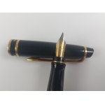 Waterman fountain pen