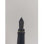 Waterman fountain pen