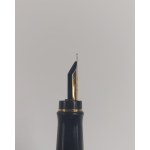 Waterman fountain pen