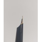 Pelikan Rolled Gold Fountain Pen