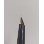 Pelikan Fountain Pen