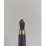 Fountain pen