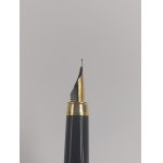 Fountain pen