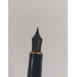 Parker Sonnet Fountain Pen