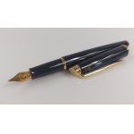 Waterman fountain pen + ink set