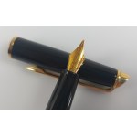 Waterman Füllfederhalter-Set + Tinte