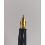 Waterman Füllfederhalter-Set + Tinte