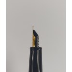 Waterman Füllfederhalter-Set + Tinte