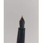 Waterman Füllfederhalter-Set + Tinte