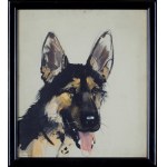 Janusz Grabiański, German Shepherd.
