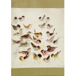 Józef Wilkoń (ur. 1930), Pocztówka (sygnowana przez autora)