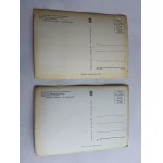 SET OF 2 POSTCARDS BIALOWIEZA NATIONAL PARK BISON BISON