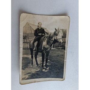 PHOTO HORSES, WOMAN ON HORSEBACK