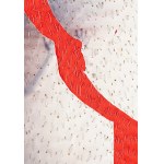 Teresa Tyszkiewicz (1953 Ciechanów - 2020 Paris, Frankreich), Folia dechiré, 1999